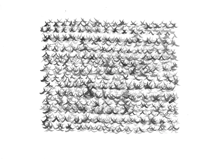 Erwin Trum - 65x50 cm